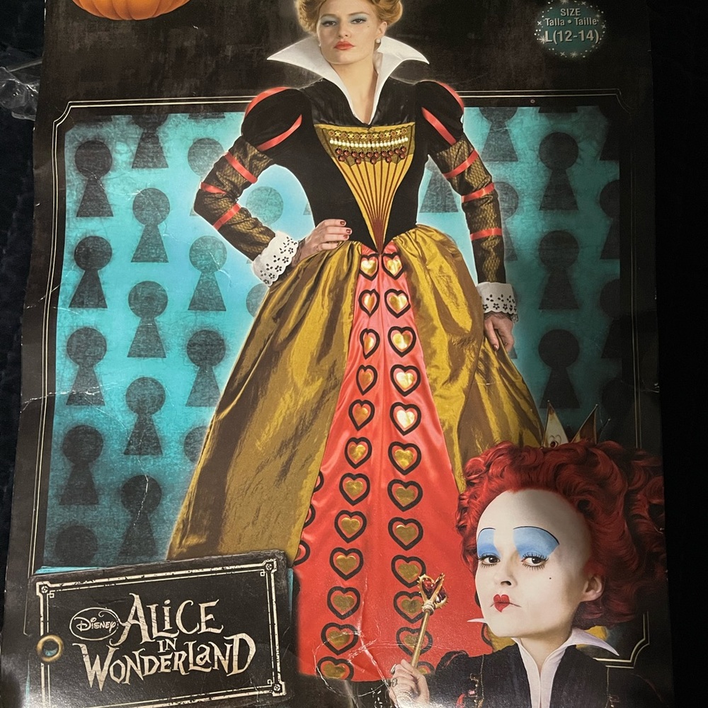Alice and Wonderland Womens Halloween Costume